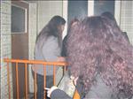 Bild (50)